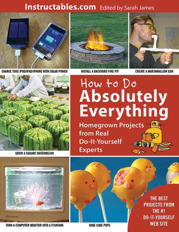 How to Do Absolutely Everything: Homegrown Projects from Real Do-It-Yourself Experts book cover by 