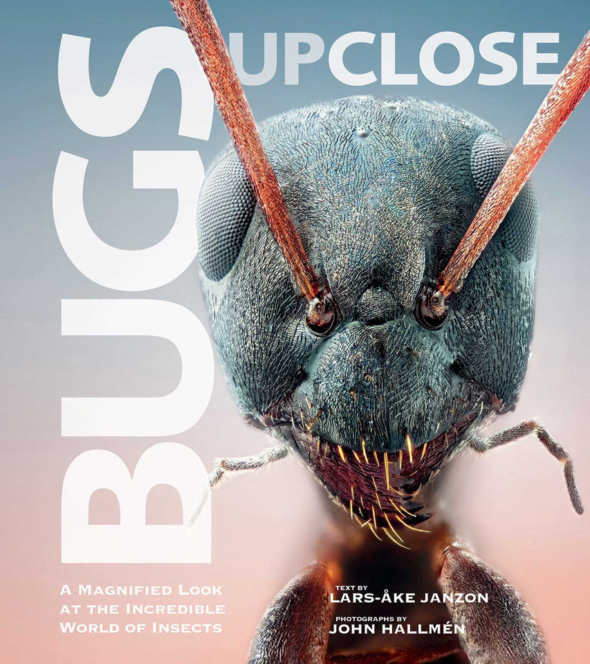 Bugs Up Close: A Magnified Look at the Incredible World of Insects book cover by 
