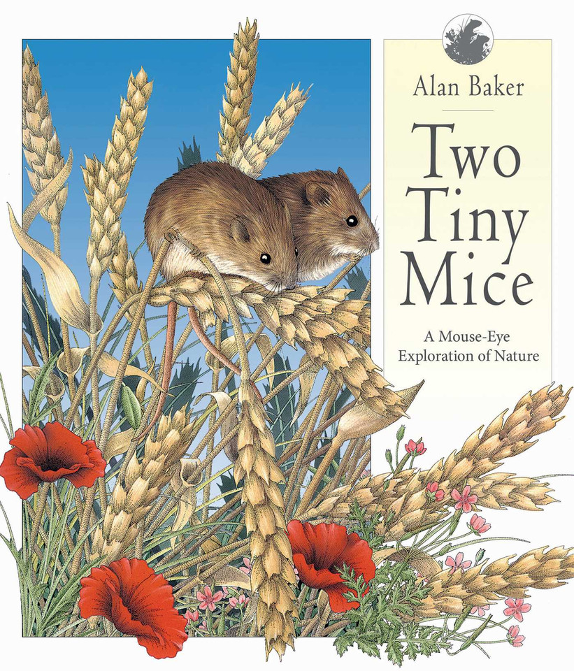 Two Tiny Mice: A Mouse-Eye Exploration of Nature book cover by 