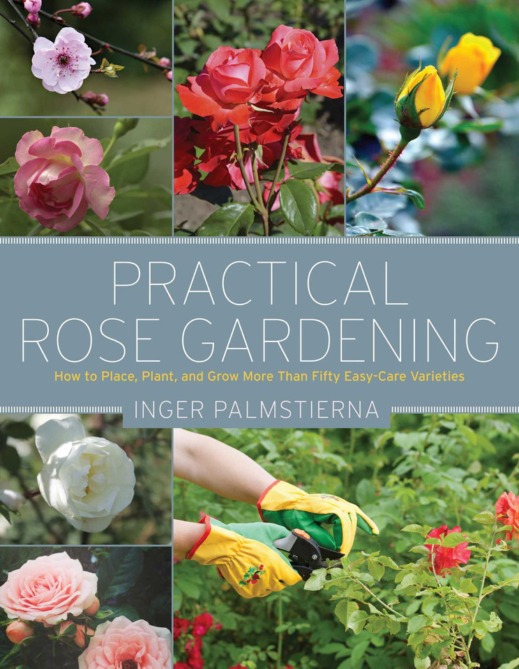 Practical Rose Gardening: How to Place, Plant, and Grow More Than Fifty Easy-Care Varieties book cover by Inger Palmstierna