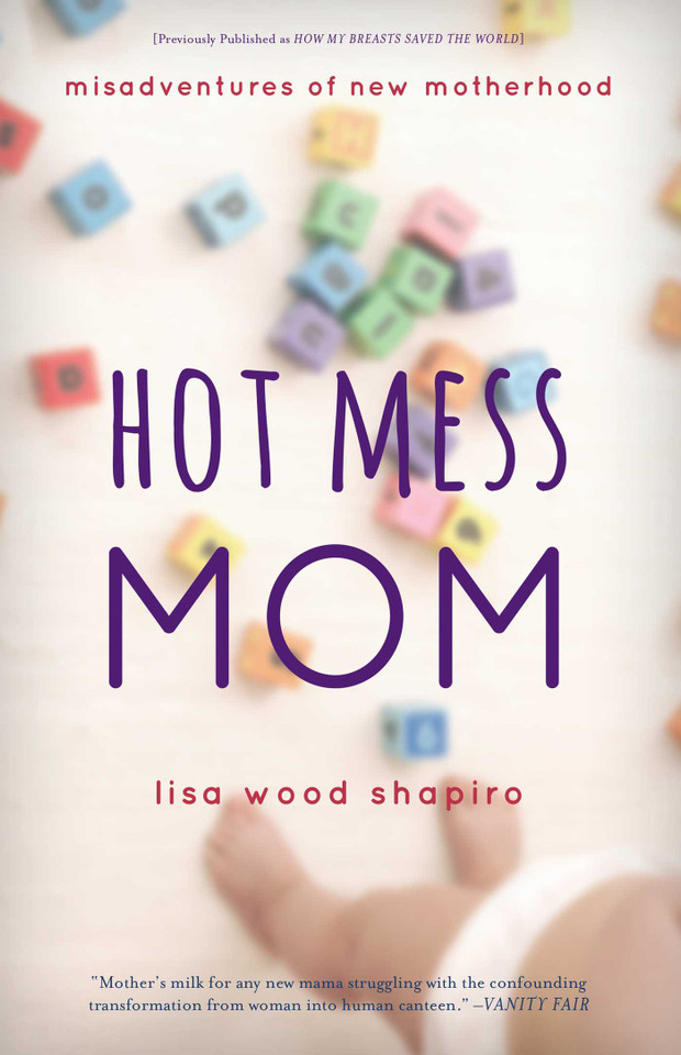 Hot Mess Mom: Misadventures of New Motherhood book cover by Lisa Wood Shapiro