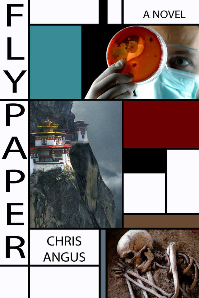 Flypaper: A Novel book cover by Chris Angus