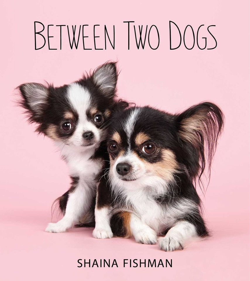 Between Two Dogs book cover by Shaina Fishman