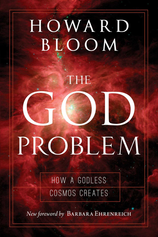 God Problem: How a Godless Cosmos Creates book cover by Howard Bloom