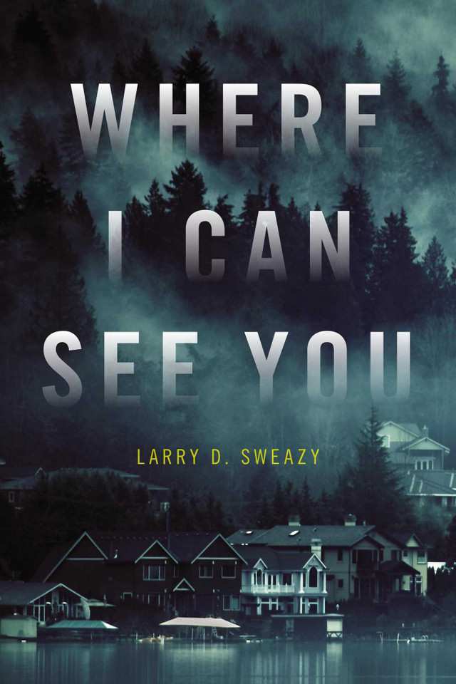 Where I Can See You book cover by Larry D. Sweazy
