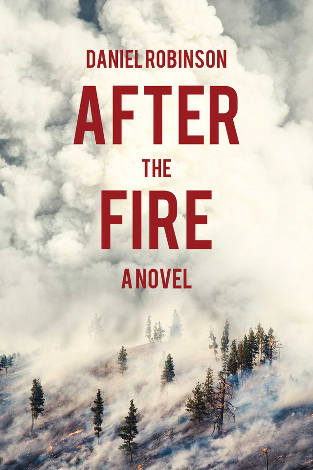 After the Fire: A Novel book cover by Daniel Robinson