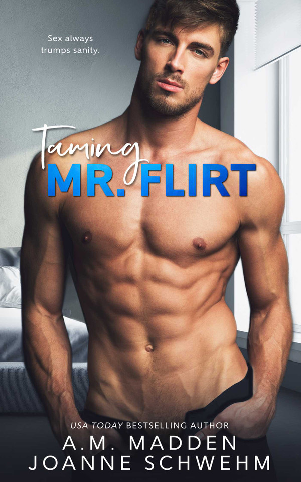 Taming Mr. Flirt book cover by A.M. Madden, Joanne Schwehm