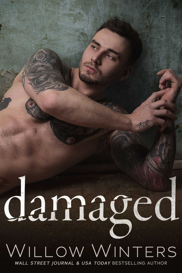 Damaged (Sins and Secrets Series of Duets) book cover by Willow Winters