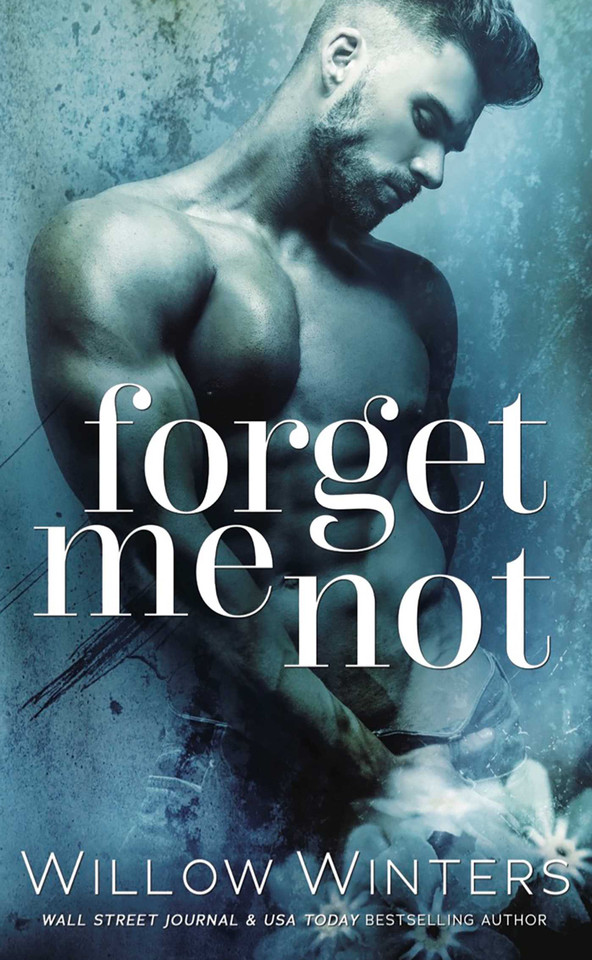 Forget Me Not book cover by Willow Winters