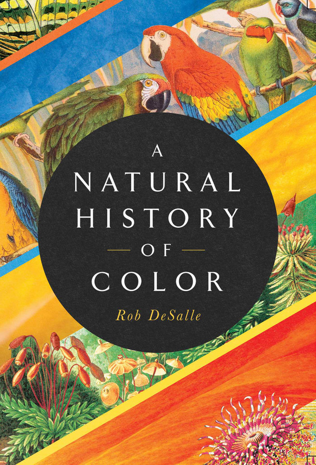 A Natural History of Color: The Science Behind What We See and How We See it book cover by Rob DeSalle, Hans Bachor
