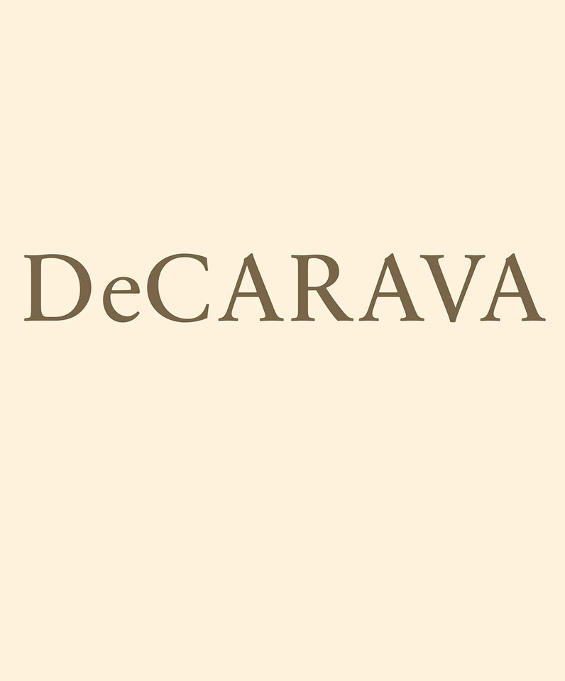 Roy DeCarava: Light Break book cover by 
