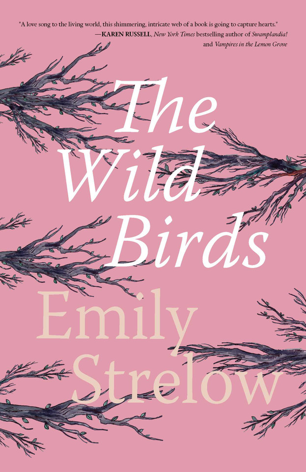 The Wild Birds book cover by Emily Strelow