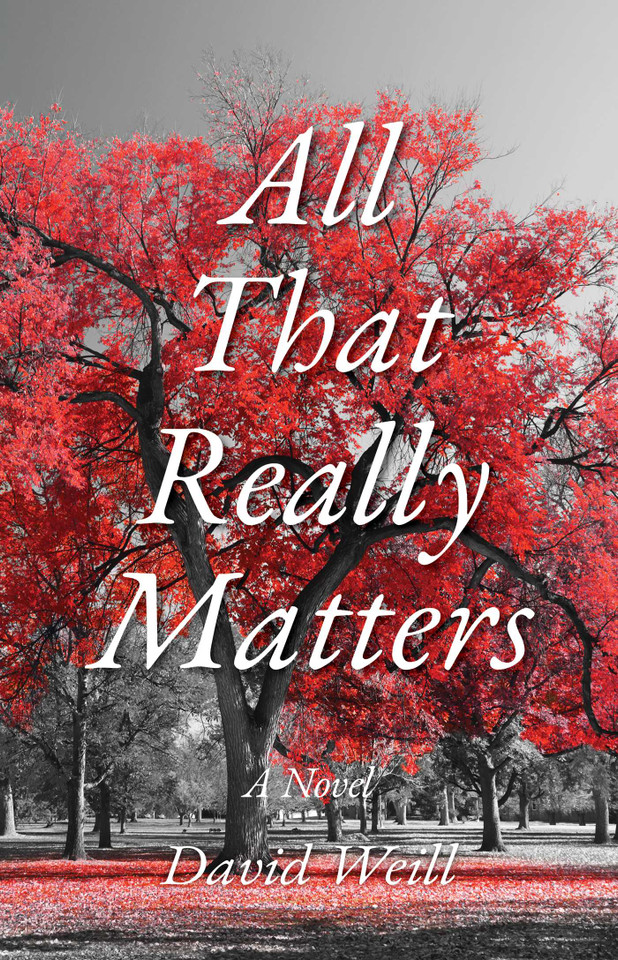All That Really Matters: A Novel book cover by David Weill