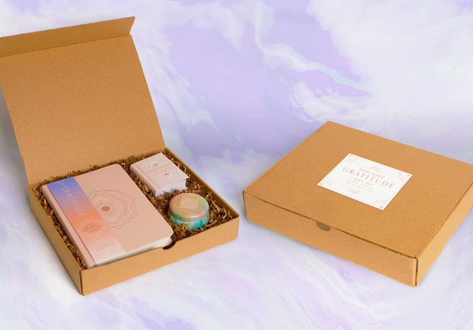 Gratitude Boxed Gift Set (Inner World) book cover by Insight Editions