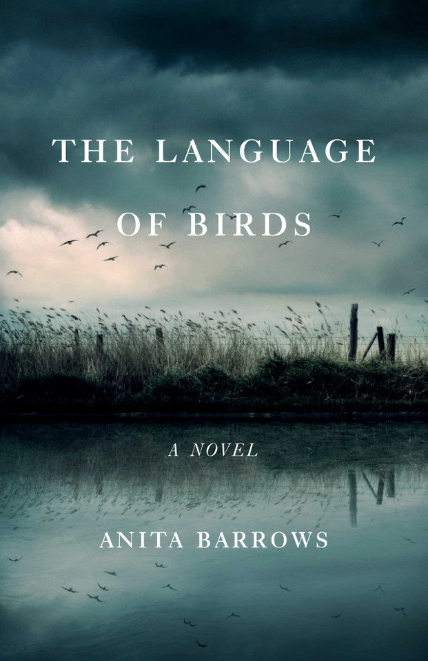 The Language of Birds: A Novel book cover by Anita Barrows