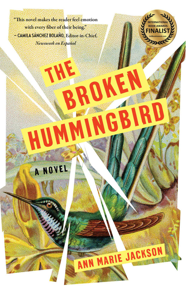The Broken Hummingbird: A Novel book cover by Ann Marie Jackson