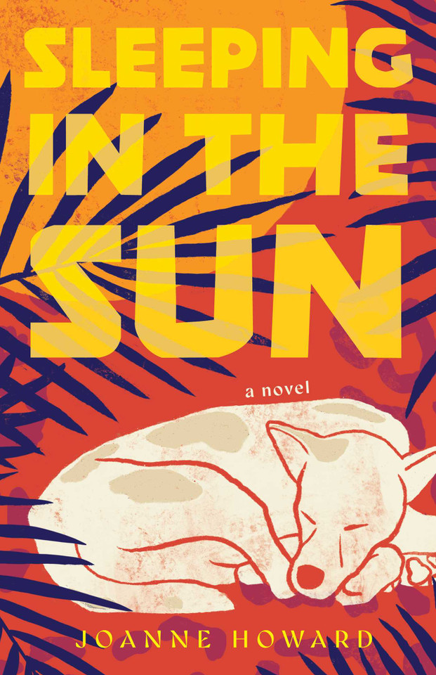 Sleeping in the Sun: A Novel book cover by Joanne Howard