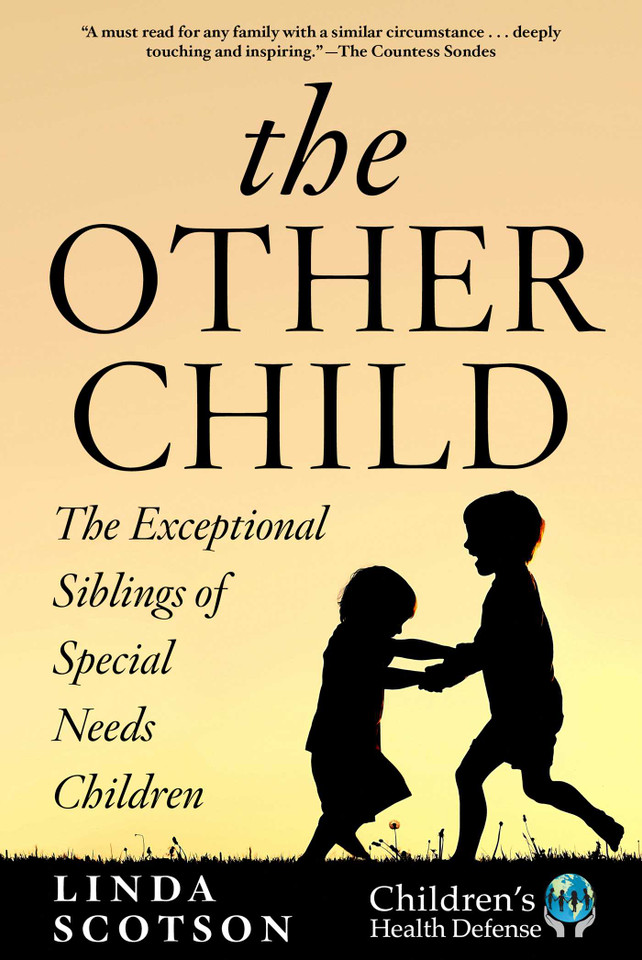 The Other Child: The Exceptional Siblings of Special Needs Children book cover by Linda Scotson