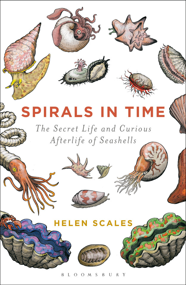 Spirals in Time: The Secret Life and Curious Afterlife of Seashells book cover by Helen Scales