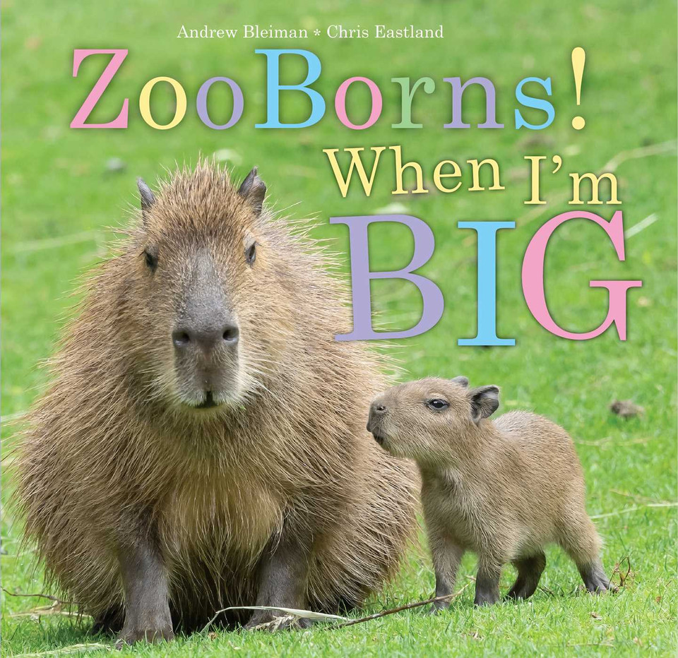 ZooBorns! When I'm Big (ZooBorns) book cover by Andrew Bleiman, Chris Eastland