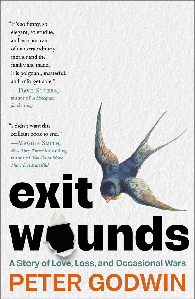 Exit Wounds: A Story of Love, Loss, and Occasional Wars book cover by Peter Godwin