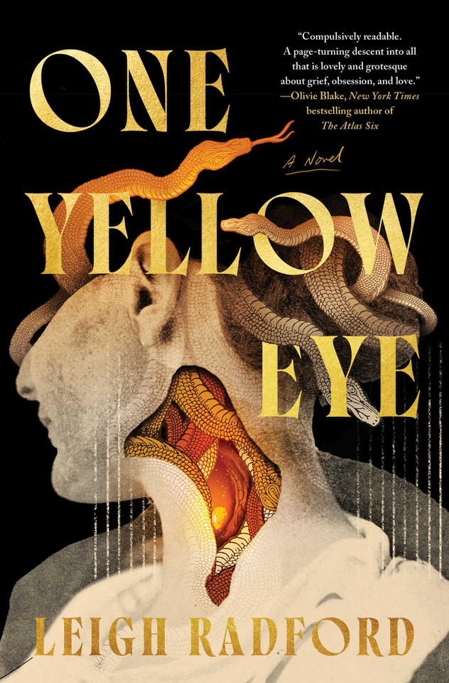 One Yellow Eye: A Novel book cover by Leigh Radford