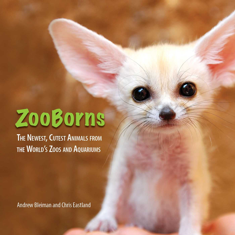 ZooBorns book cover by Andrew Bleiman, Chris Eastland