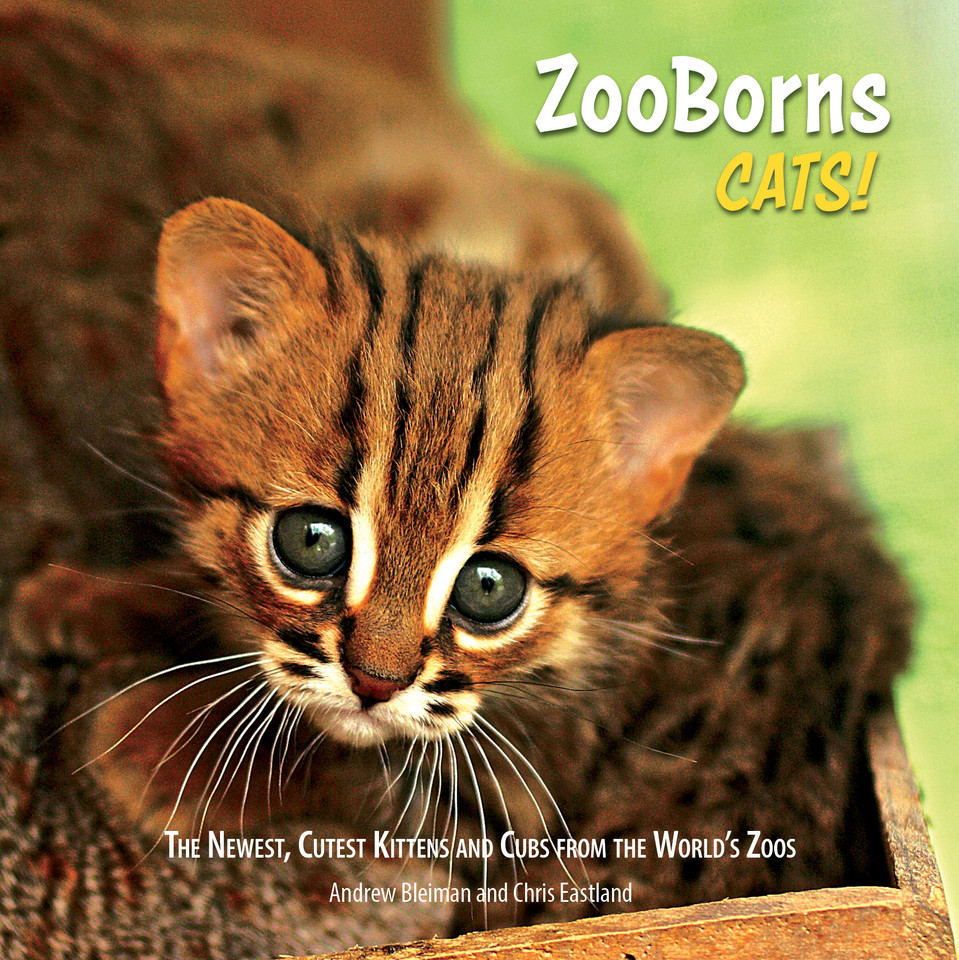 ZooBorns Cats!: The Newest, Cutest Kittens and Cubs from the World's Zoos (ZooBorns) book cover by Andrew Bleiman, Chris Eastland