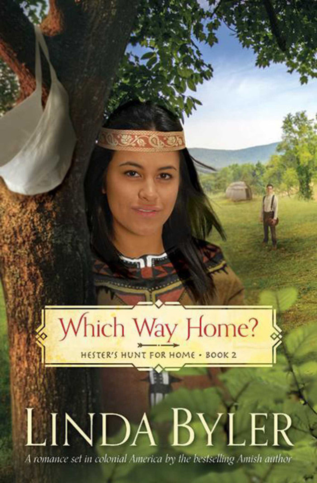 Which Way Home?: Hester's Hunt for Home, Book Two book cover by Linda Byler