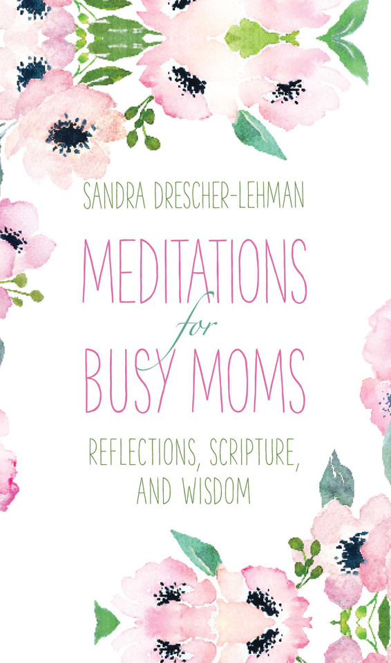 Meditations for Busy Moms: Reflections, Scripture, and Wisdom book cover by Sandra Drescher-Lehman