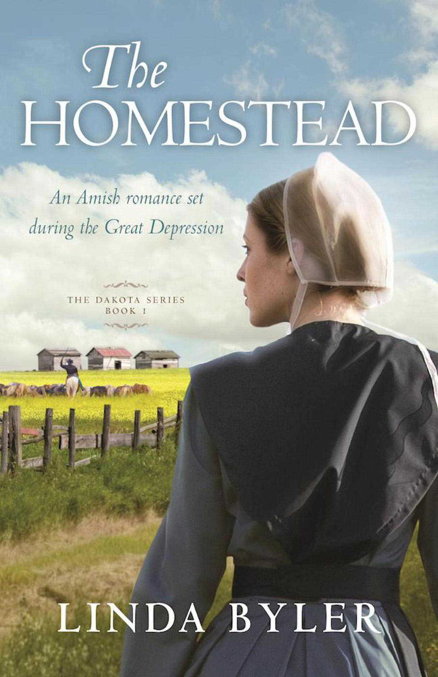 The Homestead: The Dakota Series, Book 1 (Dakota Series) book cover by Linda Byler