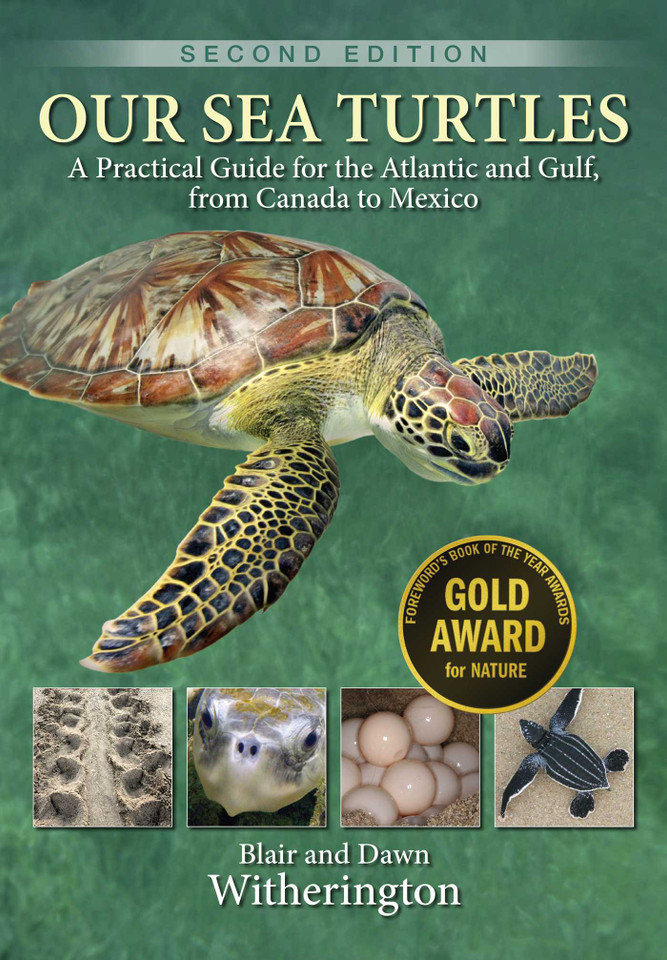 Our Sea Turtles: A Practical Guide for the Atlantic and Gulf, from Canada to Mexico book cover by Blair Witherington, Dawn Witherington