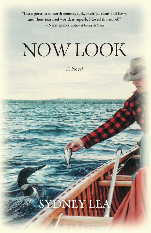 Now Look book cover by Sydney Lea