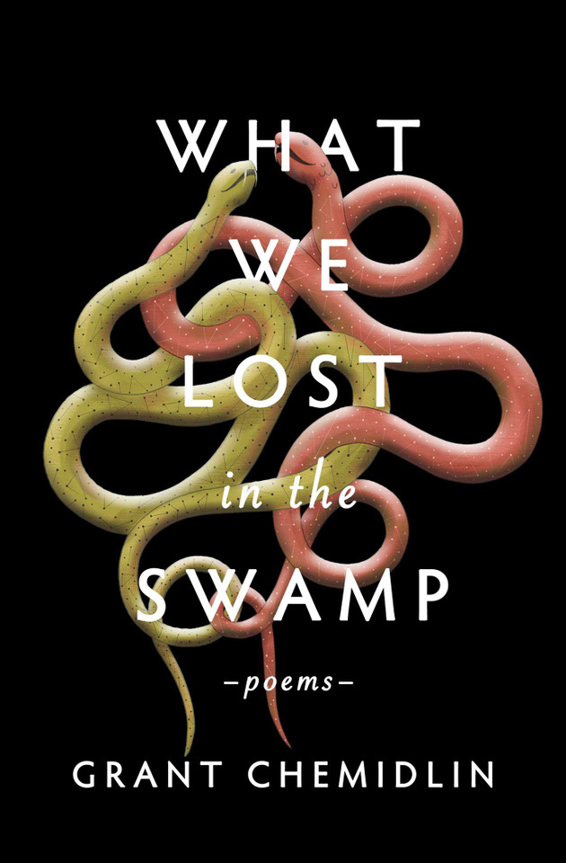 What We Lost in the Swamp: Poems book cover by Grant Chemidlin
