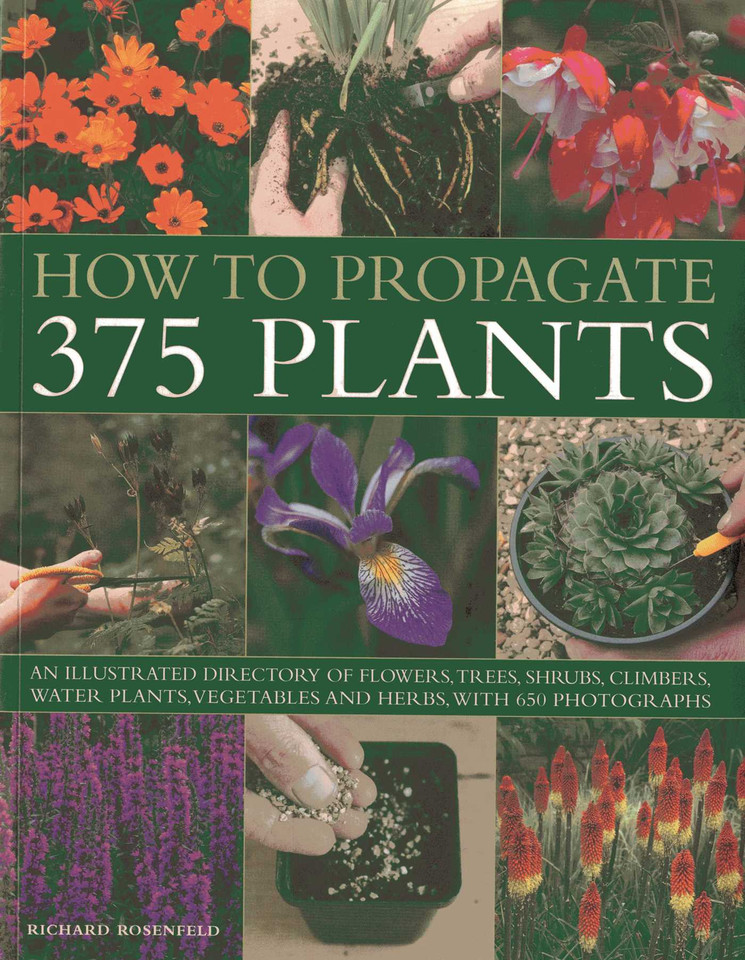 How to Propagate 375 Plants: An illustrated directory of flowers, trees, shrubs, climbers, water plants, vegetables and herbs, with 650 photographs book cover by Richard Rosenfeld