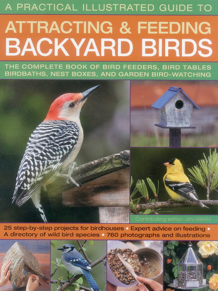 A Practical Illustrated Guide to Attracting and Feeding Backyard Birds: The Complete Book Of Bird Feeders, Bird Tables, Birdbaths, Nest Boxes, And Garden Bird-Watching book cover by Jen Green