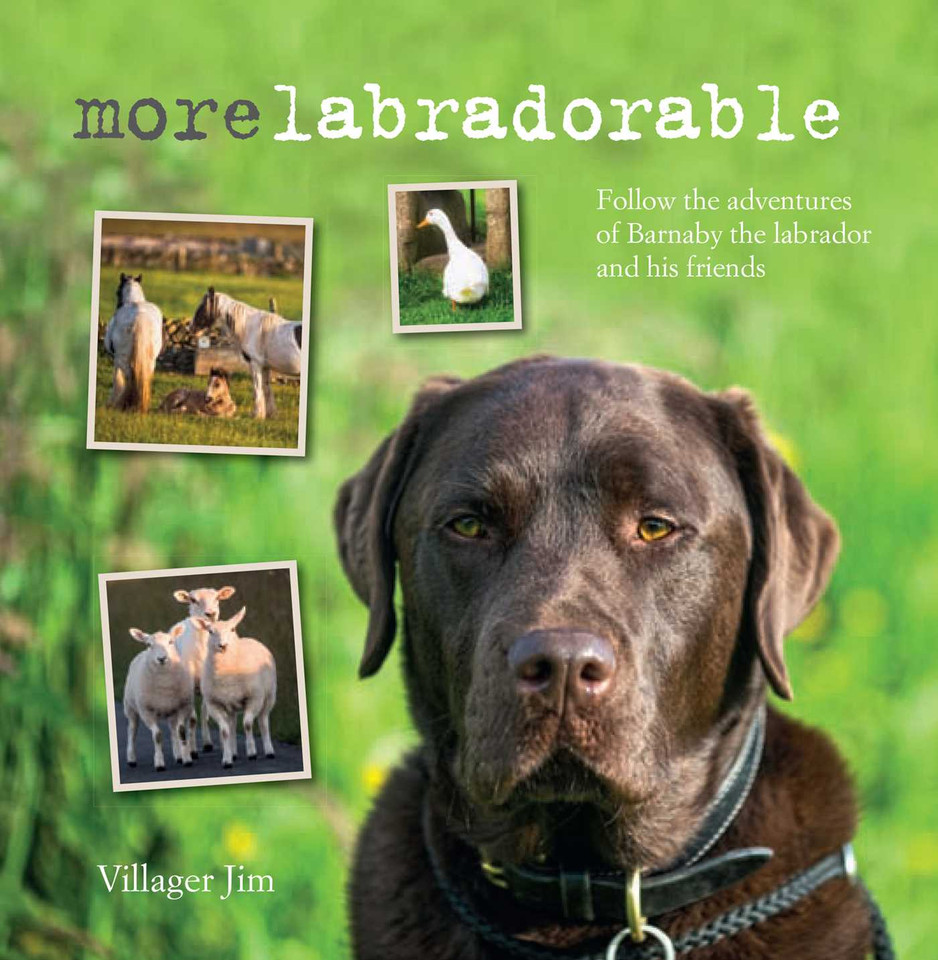 Morelabradorable: Follow the adventures of Barnaby the labrador and his friends book cover by Villager Jim