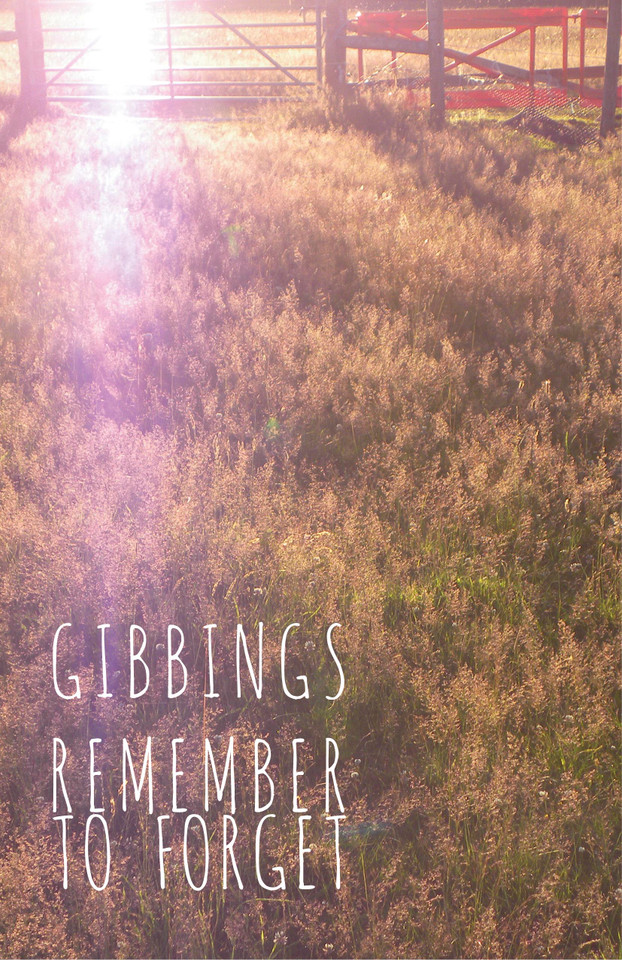 Remember to Forget book cover by Jonny Gibbings