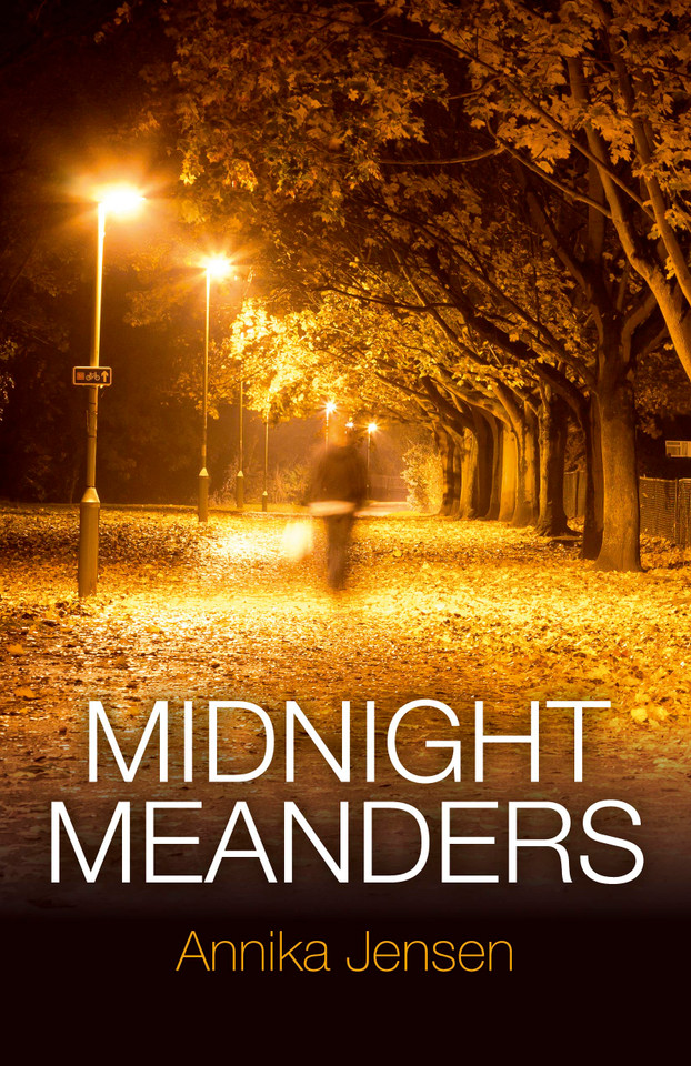 Midnight Meanders book cover by Annika Jensen