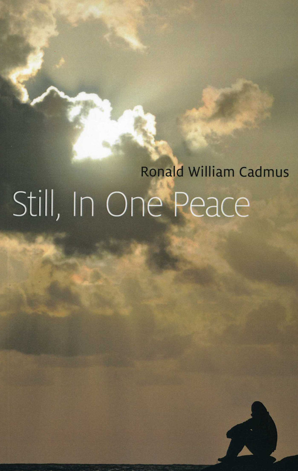 Still, In One Peace book cover by Ronald William Cadmus