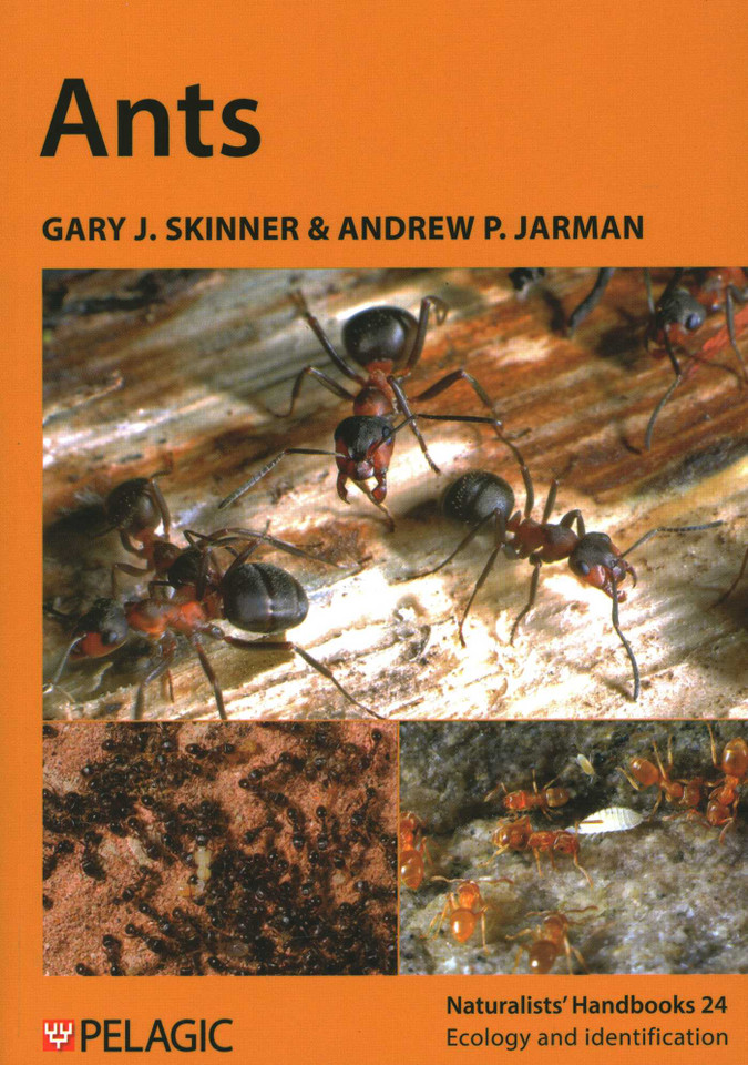 Ants book cover by Gary J. Skinner, Andrew P. Jarman