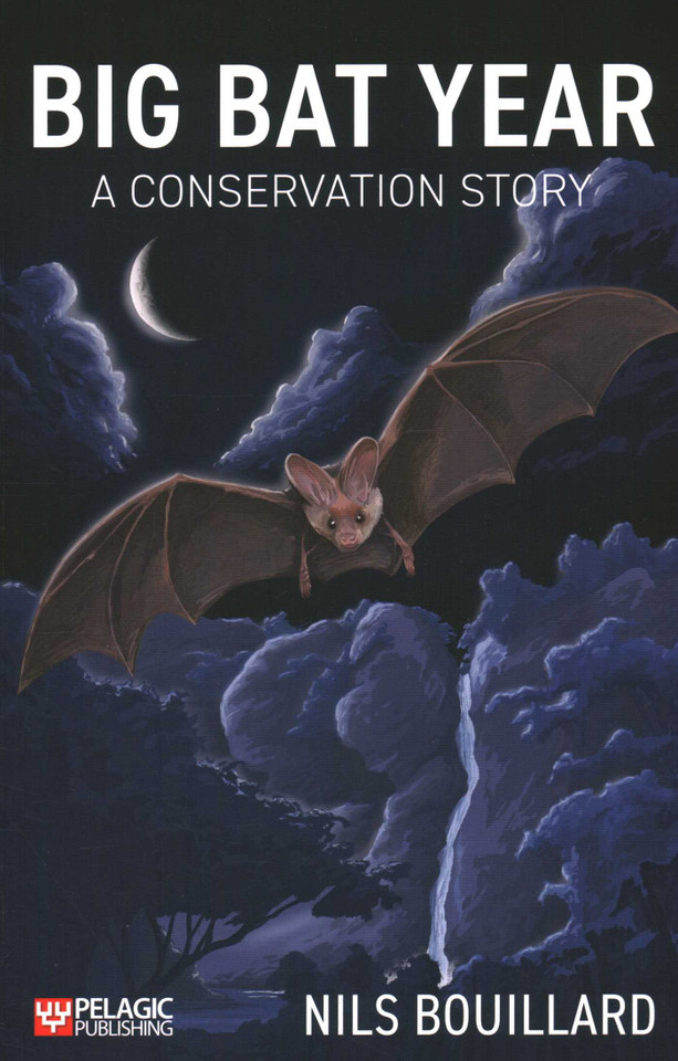 Big Bat Year: A Conservation Story book cover by Nils Bouillard