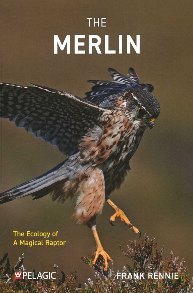 The Merlin: The Ecology of a Magical Raptor book cover by Frank Rennie