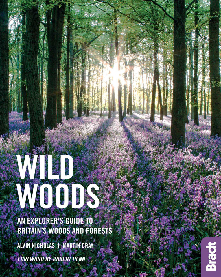 Wild Woods: An Explorer's Guide to Britain's Woods and Forests book cover by Alvin Nicholas, Martin Cray