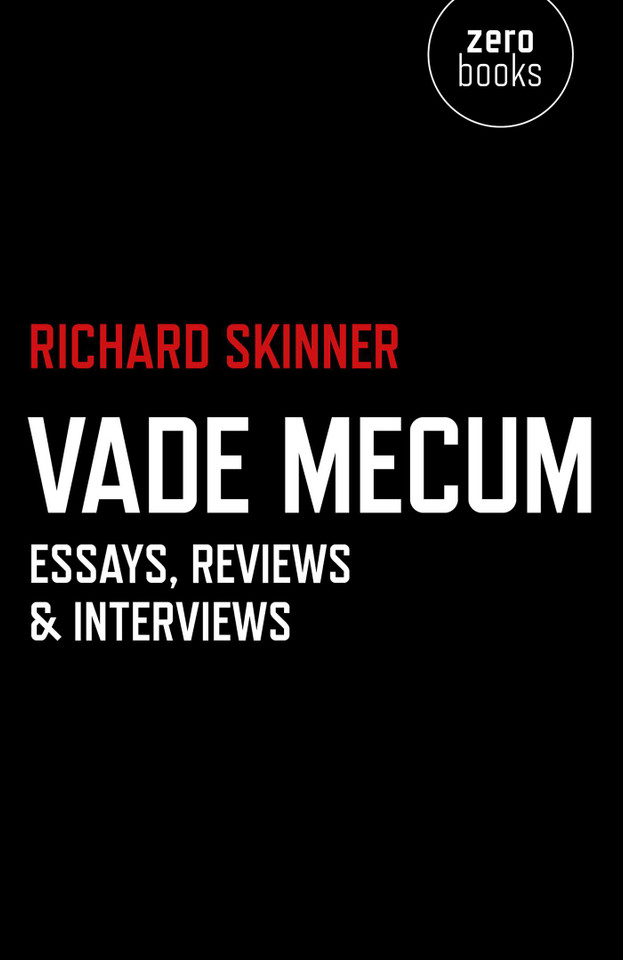 Vade Mecum: Essays, Reviews & Interviews book cover by Richard Skinner