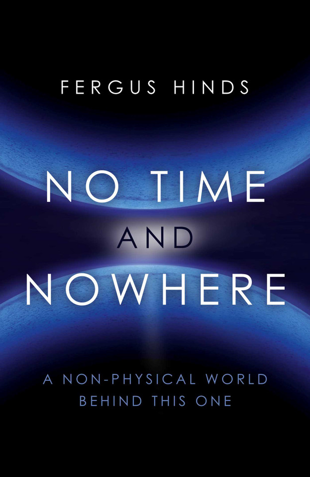 No Time and Nowhere: A Non-Physical World Behind this One book cover by Fergus Hinds