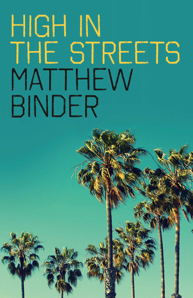 High in the Streets book cover by Matthew Binder