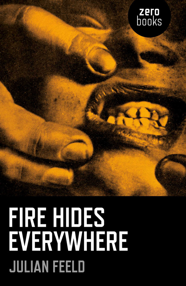 Fire Hides Everywhere book cover by Julian Feeld