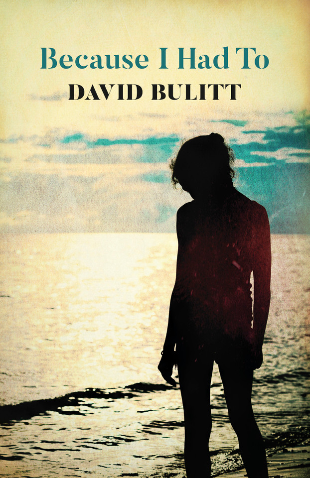 Because I Had To book cover by David Bulitt