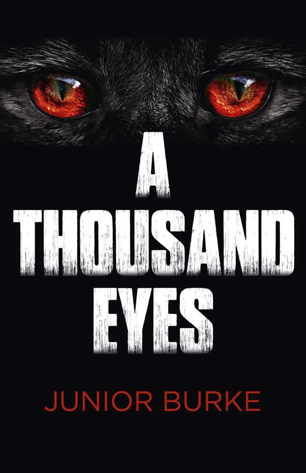 A Thousand Eyes book cover by Junior Burke